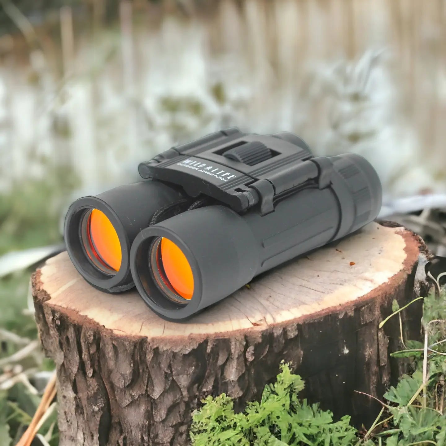 Compact Binoculars 10 X 25